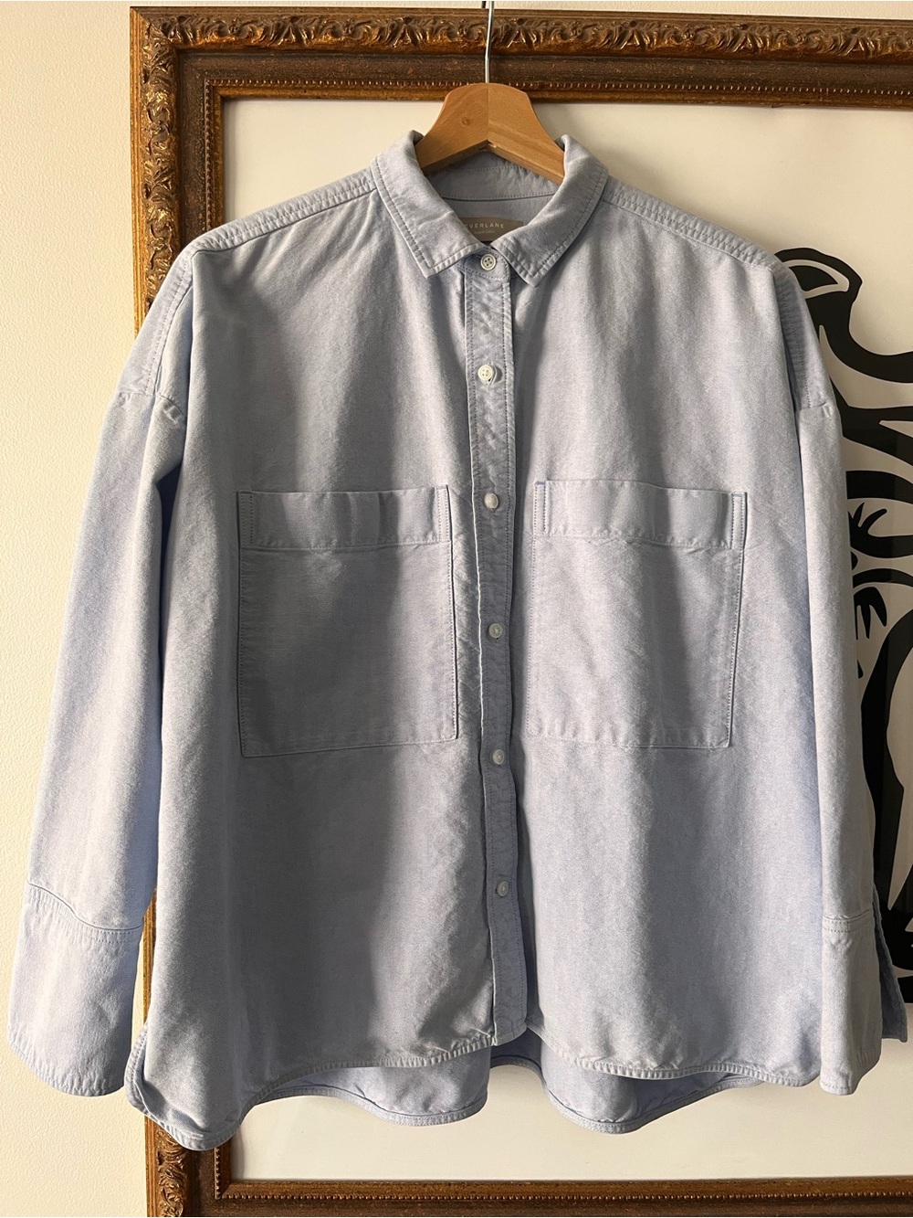 Everlane Boxy Oxford Button Down